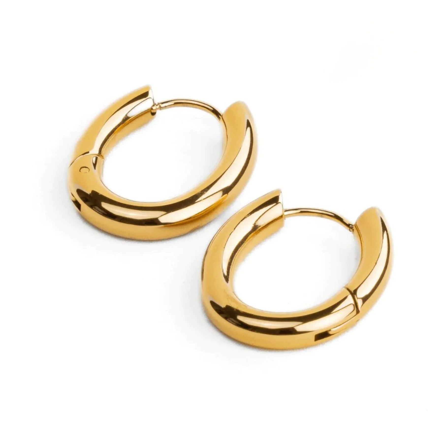 Mini Brinco de Argola Fiora Banhado a Ouro 18k