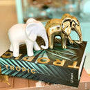 Elefante de Cerâmica Branco 13,5 cm x 11,5 cm x 7,5 cm