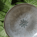 Prato Fundo Bio Evergreen 22,5cm